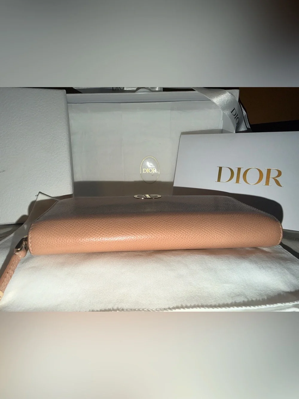 Dior Zip-Around Leather Wallet in Blush Pink